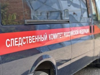 В Республике Марий Эл следователями СК организована проверка размещенных в СМИ сведений о травмировании женщины в результате наезда электросамоката